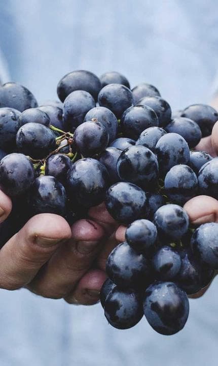 現実と非現実の狭間に漂う、掴みどころのない時間を描いています