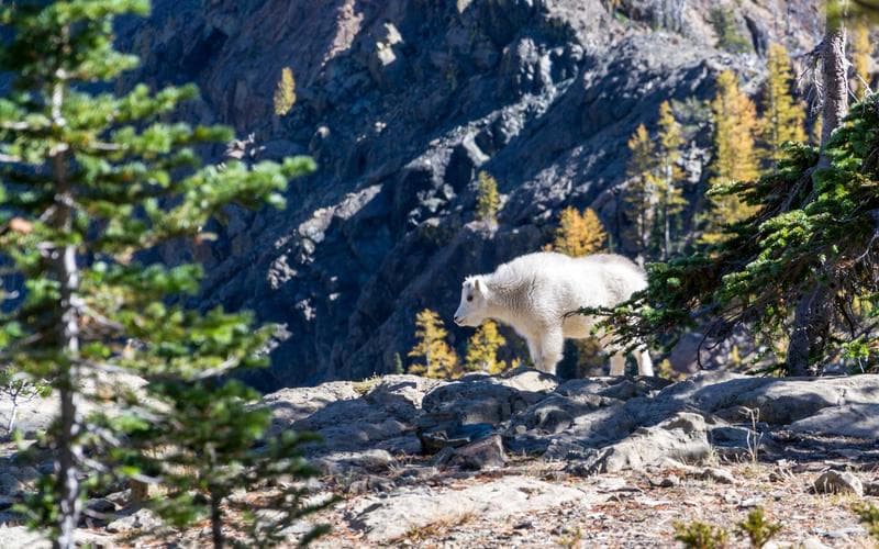 細部のディテールを追加し、作品を完成させる