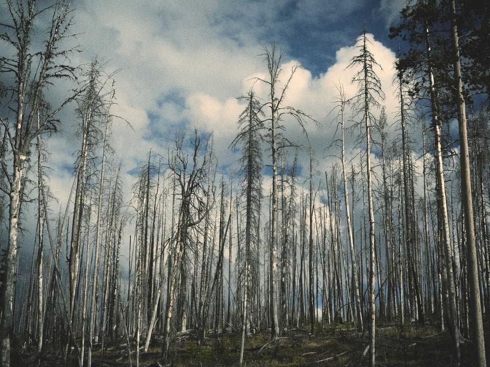 スピーカーユニットが壁面を埋め尽くす展示風景