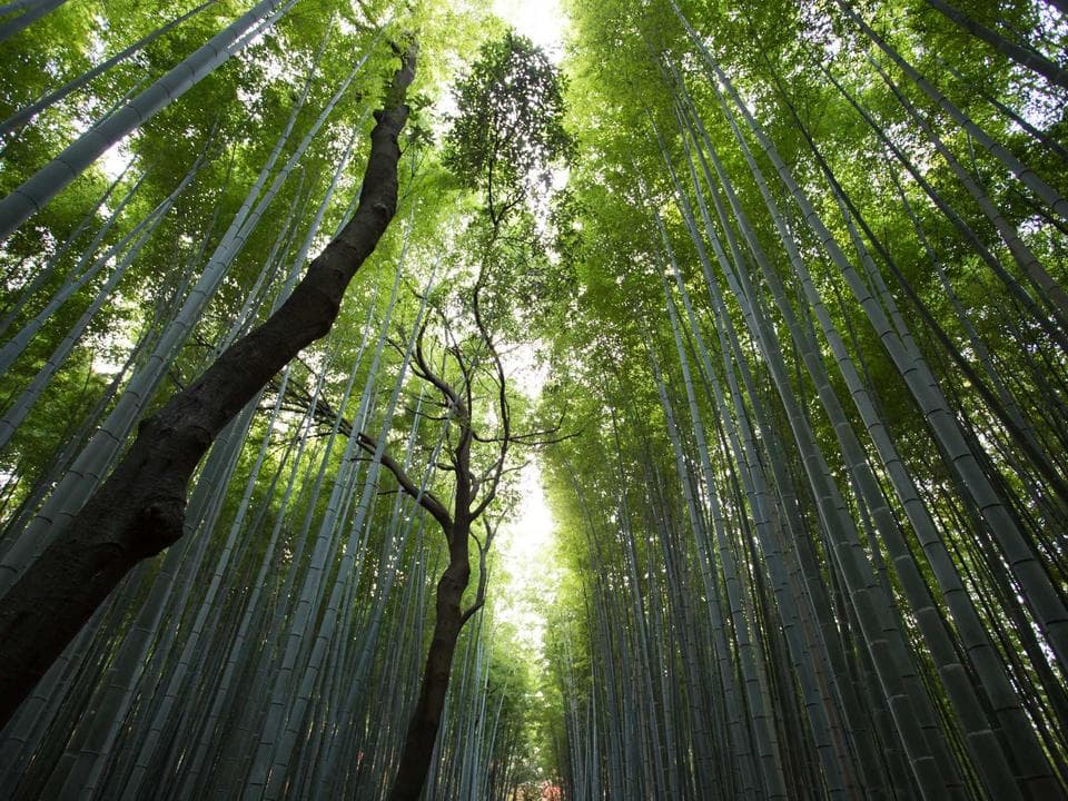 朝の自然光の下で撮影した器の表情