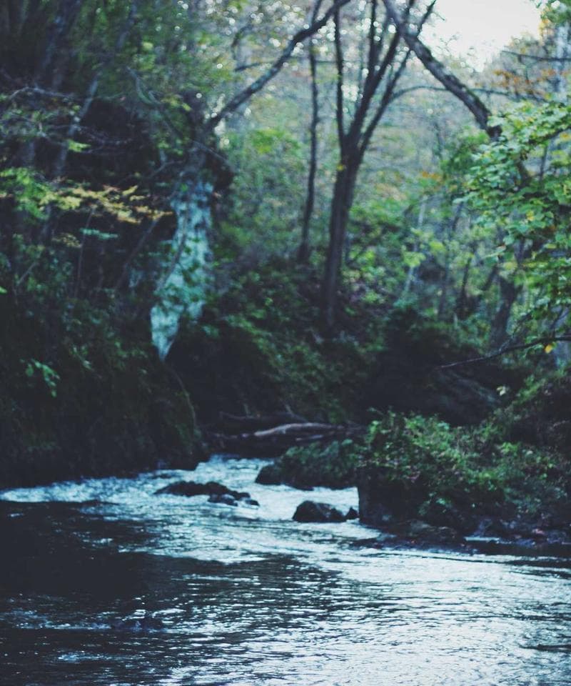 空間レイアウトとフロープラン