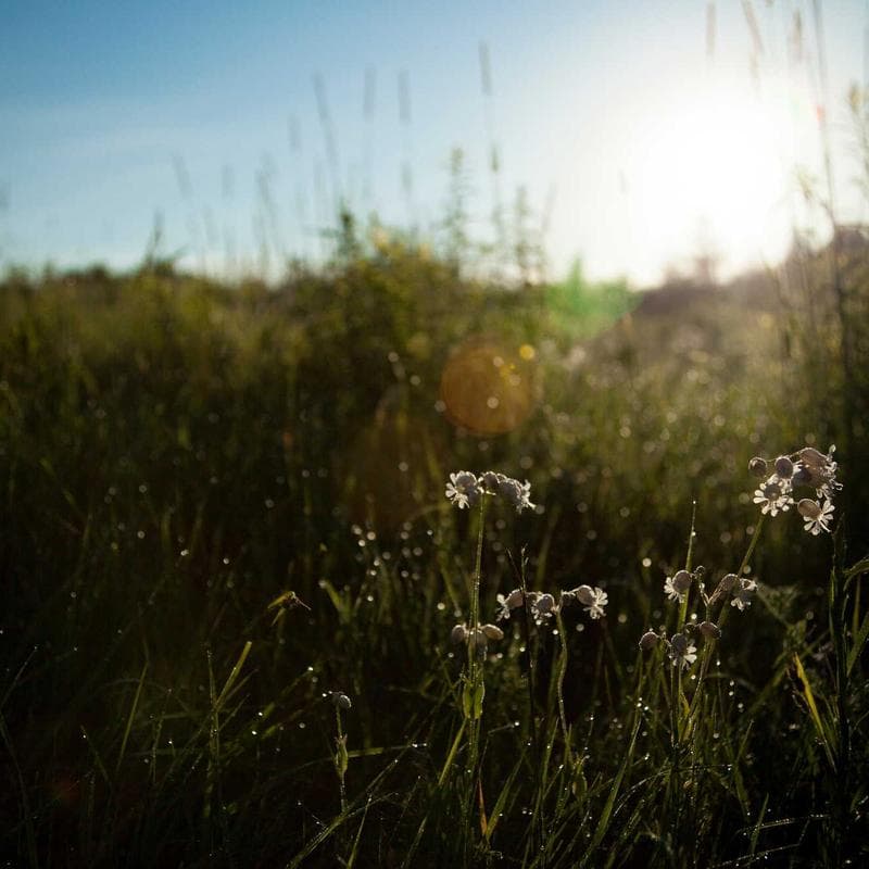 Studio Talks with Alix