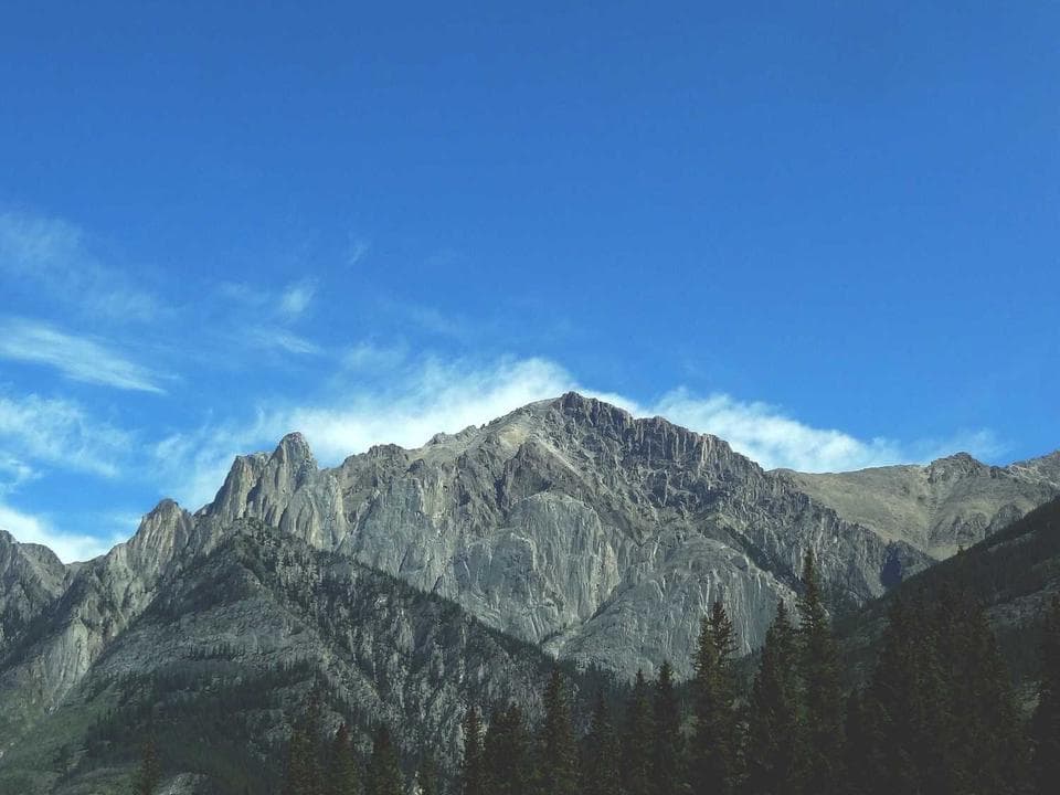 LEDが土壌の中で脈動する様子
